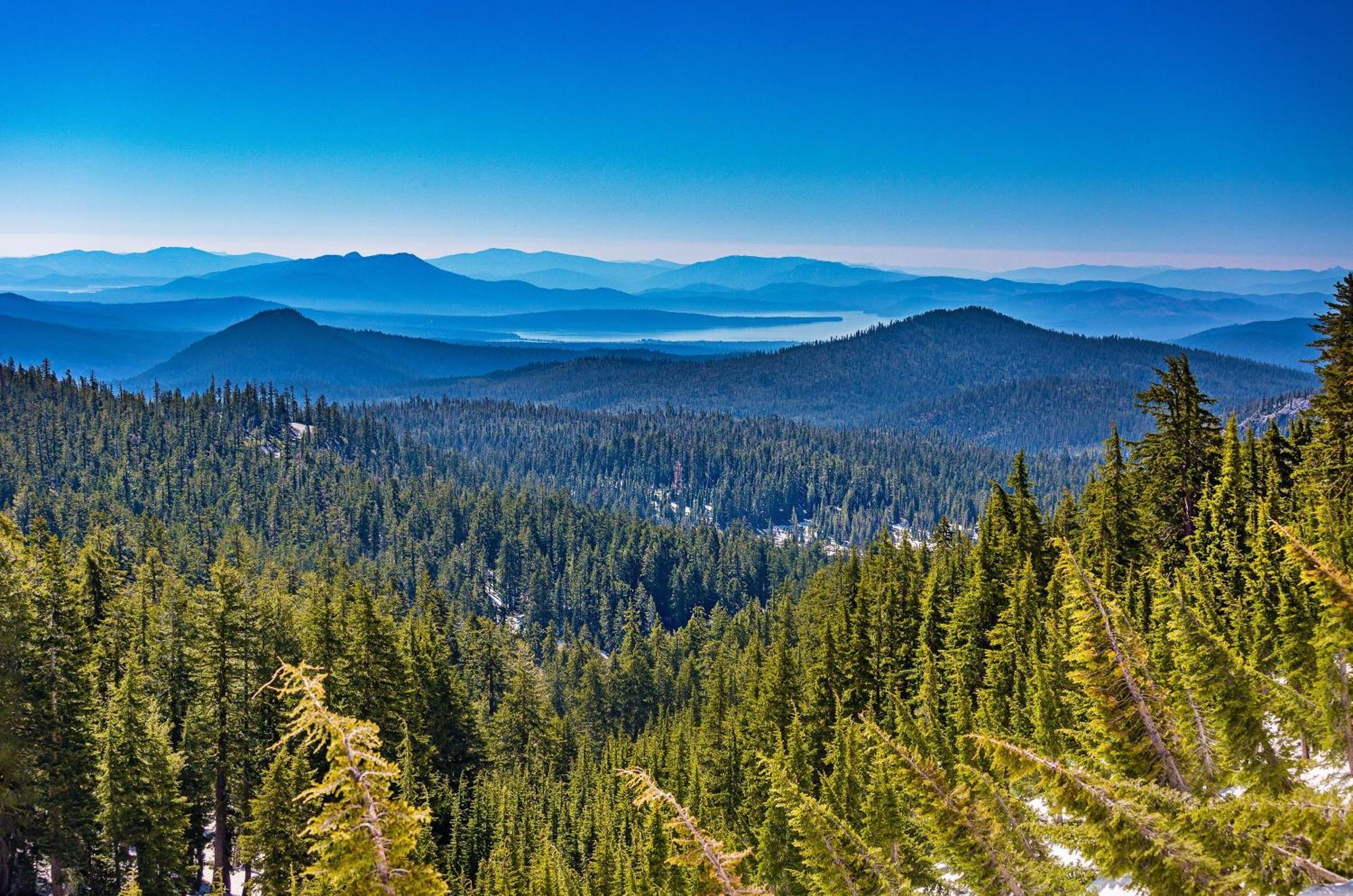 Готель Camp Almanor At Big Springs Westwood Екстер'єр фото